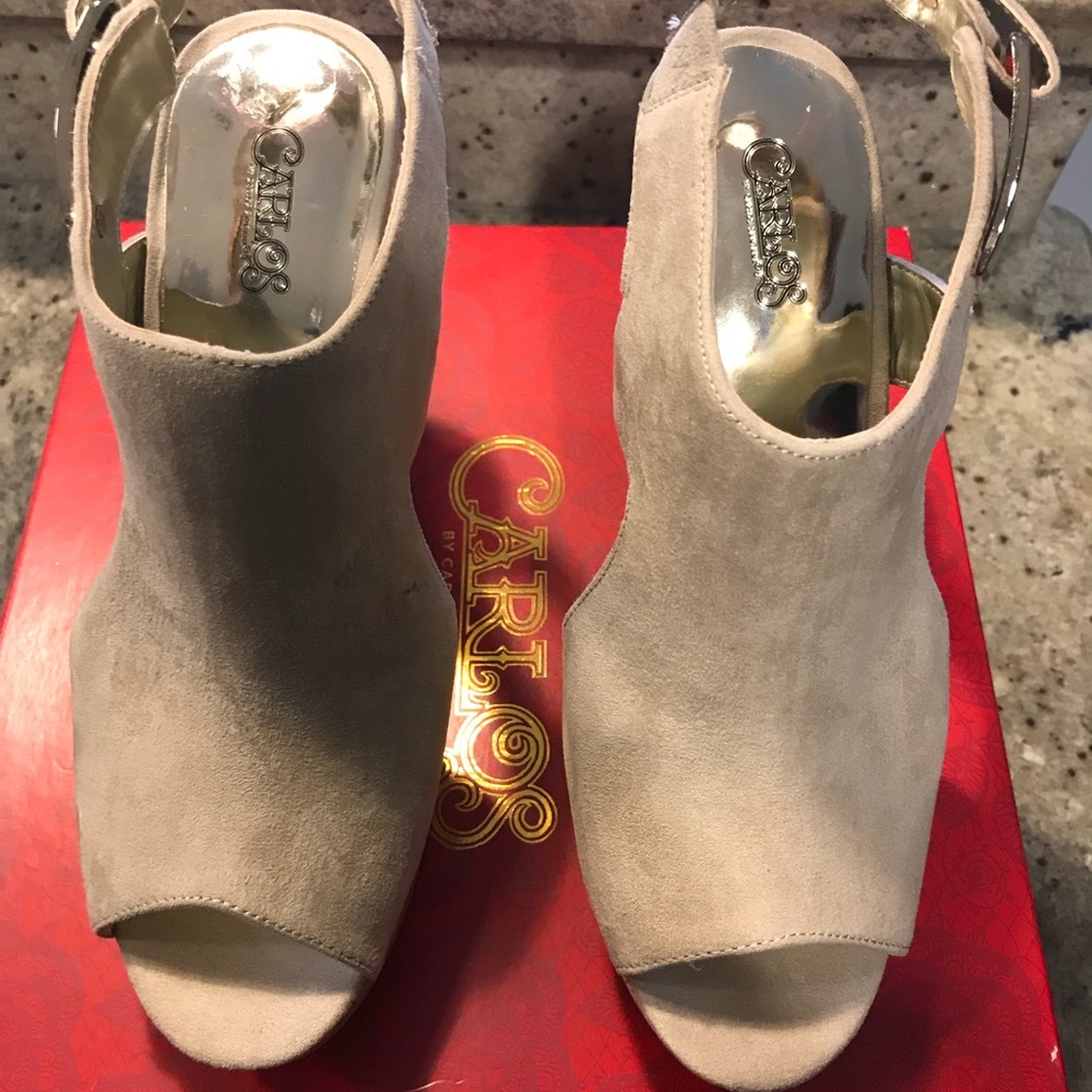 Carlos Santana Wedges